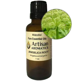 Angelica Root Essential Oil - MSDS