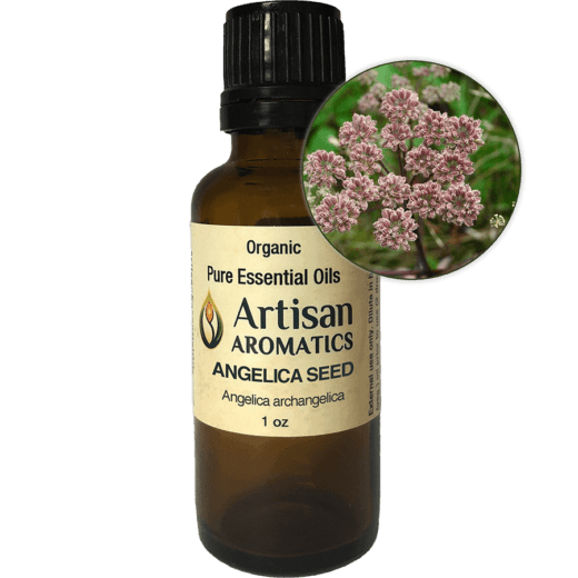 Angelica Seed Essential Oil
