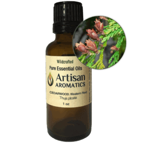 Artisan Aromatics Western Red Cedar Essential Oil