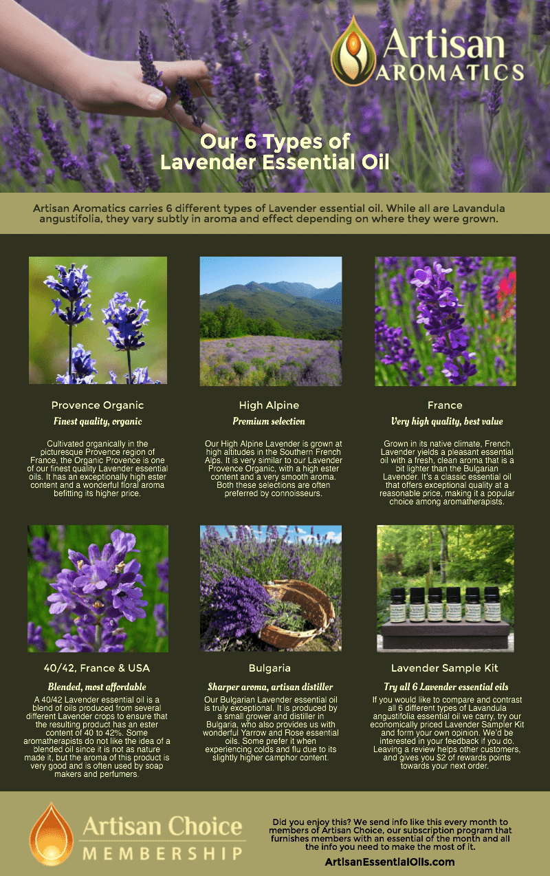 Our 6 Types of Lavender Essential Oil [Infographic] - Artisan Aromatics