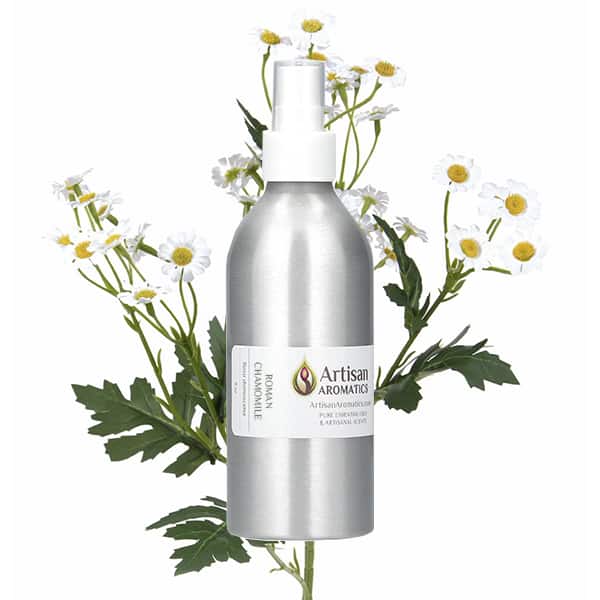 Organic Roman Chamomile Essential Oil Soothes Skin Relaxes Mind