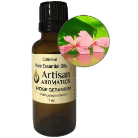 Rose Geranium Essential Oil | Pelargonium roseum