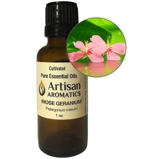 Rose Geranium Essential Oil | Pelargonium roseum