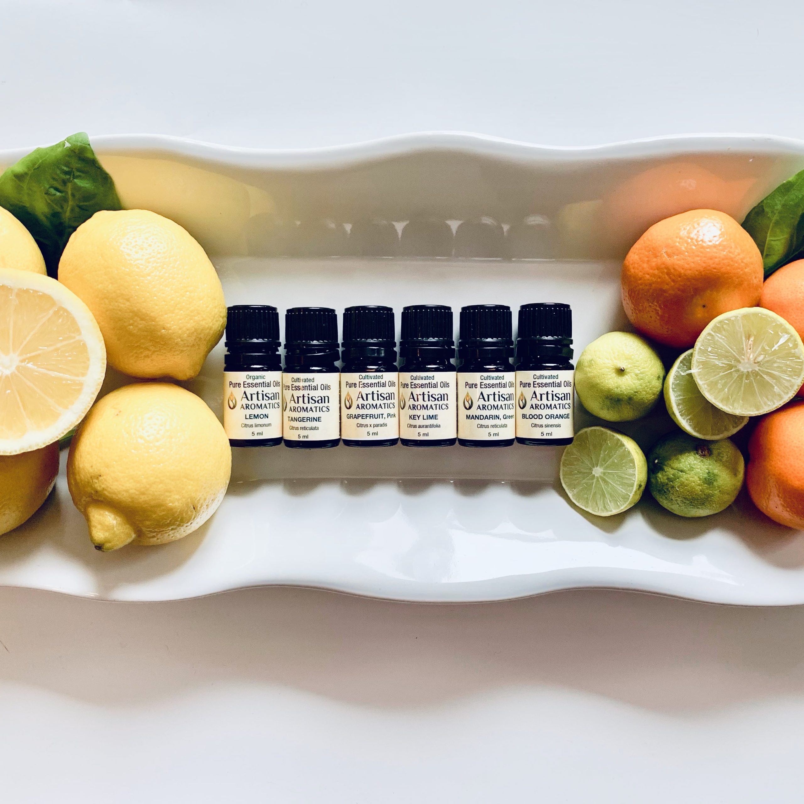 5-Pack 10ml Citrus Essential Oils Set : Lemon, Grapefruit, Lime,Tanger –  RainbowAbby 2013