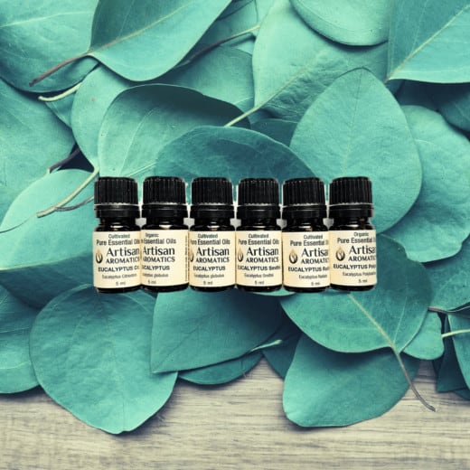 Artisan Aromatics Essential Oils - Eucalyptus Oil Collection