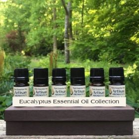 Essential Oil Kits & Collections