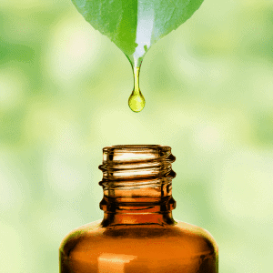 Eucalyptus Oil Drop - Smell Retraining Therapy