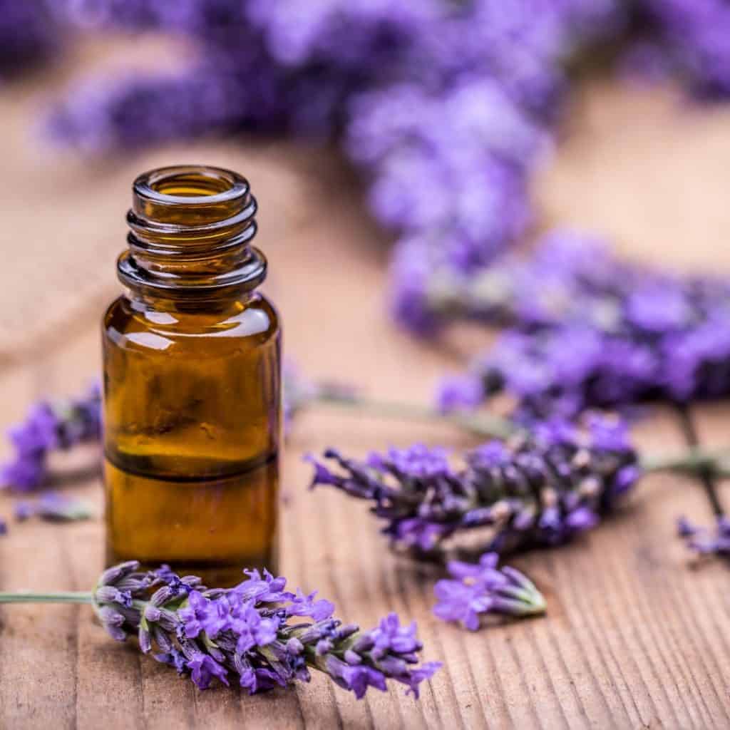 Choosing a Lavender Essential Oil